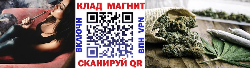 APVP Мышкин