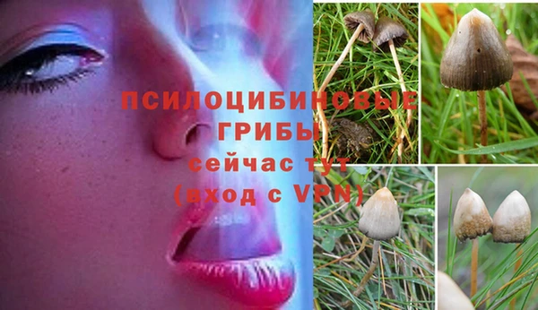 кристаллы Алексин