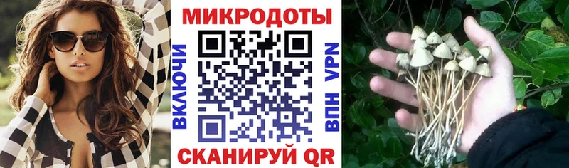 Галлюциногенные грибы GOLDEN TEACHER  закладка  Мышкин 